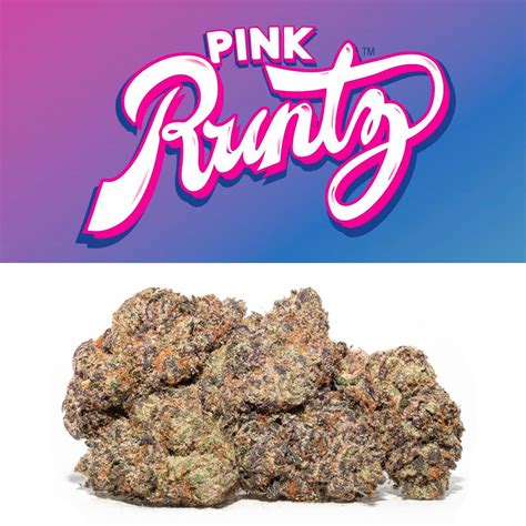 runtz gucci gold|pink runtz strains.